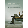 A Special Providence - Paperback