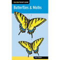 Butterflies & Moths