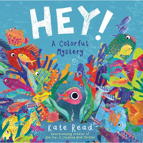 Hey!: A Colorful Mystery - Hardcover