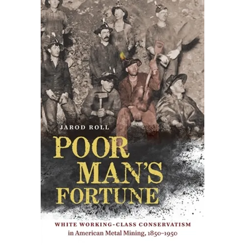 Poor Man's Fortune: White Working-Class Conservatism in American Metal Mining, 1850-1950