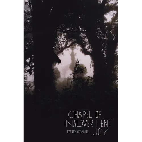 Chapel of Inadvertent Joy - Paperback