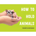 How to Hold Animals - Hardcover