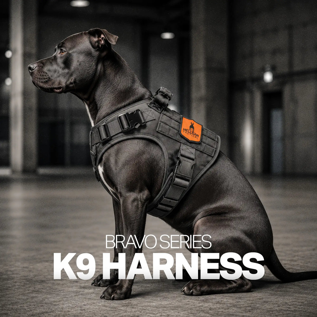Escape Proof Dog Harness