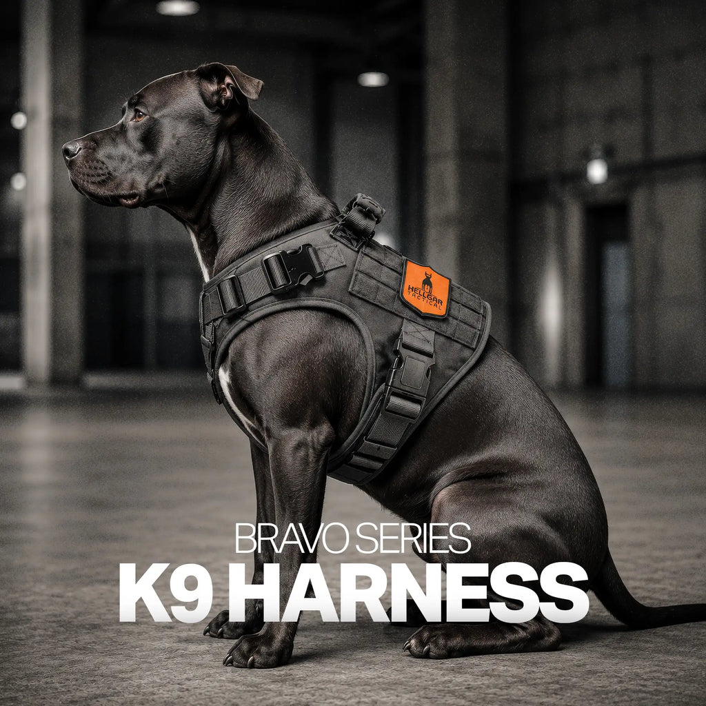 Chew-Resistant Dog Harness