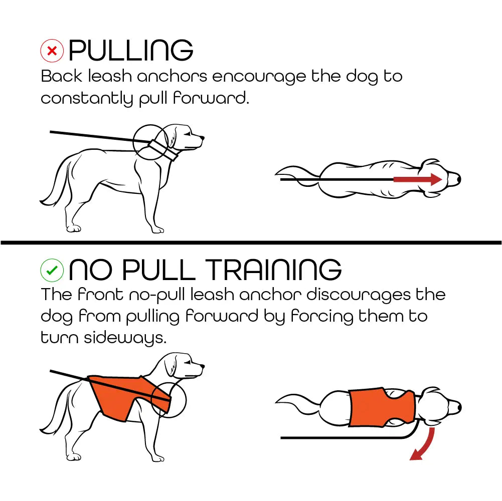 Chew-Resistant Dog Harness