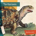 Tortoises - Paperback