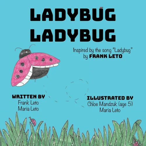 Ladybug Ladybug - Paperback
