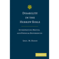 Disability in the Hebrew Bible: Interpreting Mental and Physical Differences - Paperback