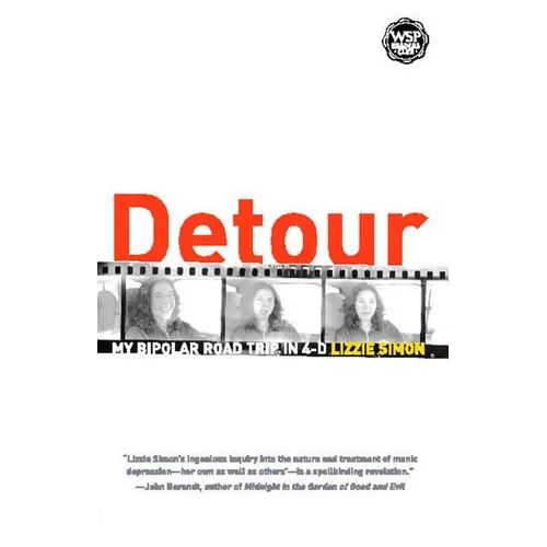 Detour: My Bipolar Road Trip in 4-D - Paperback