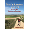 There's Something Going On!: Walking the Camino de Santiago - Paperback