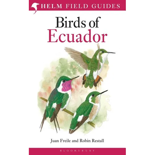 Field Guide to the Birds of Ecuador - Paperback