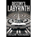 Destiny's Labyrinth, A Novella - Paperback