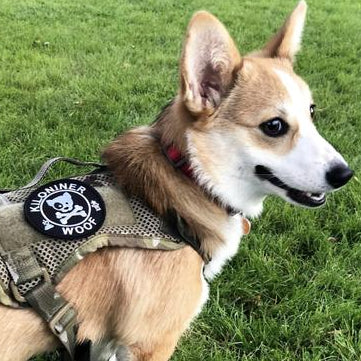 DOG & CROSSBONES Glow In The Dark Morale Patch