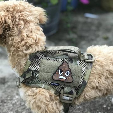 STINKY POOP Morale Patch
