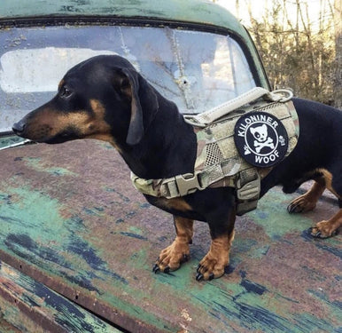 DOG & CROSSBONES Glow In The Dark Morale Patch
