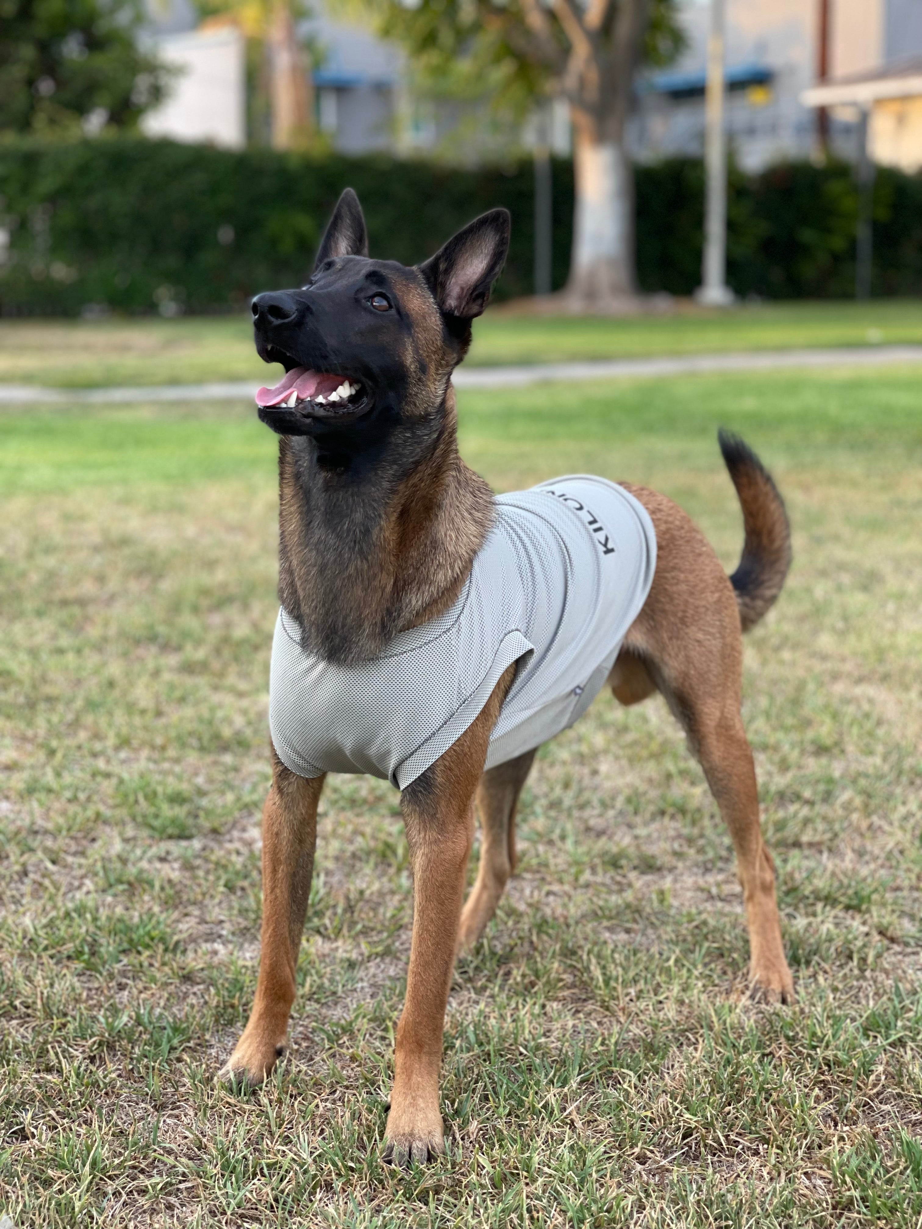 ACTIVE COOLING SHIRT