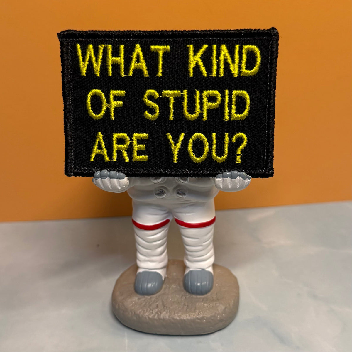 What Kind of Stupid Are You Funny Embroidered Morale Patch, 2x3" | VELCRO® Brand Hook Backing