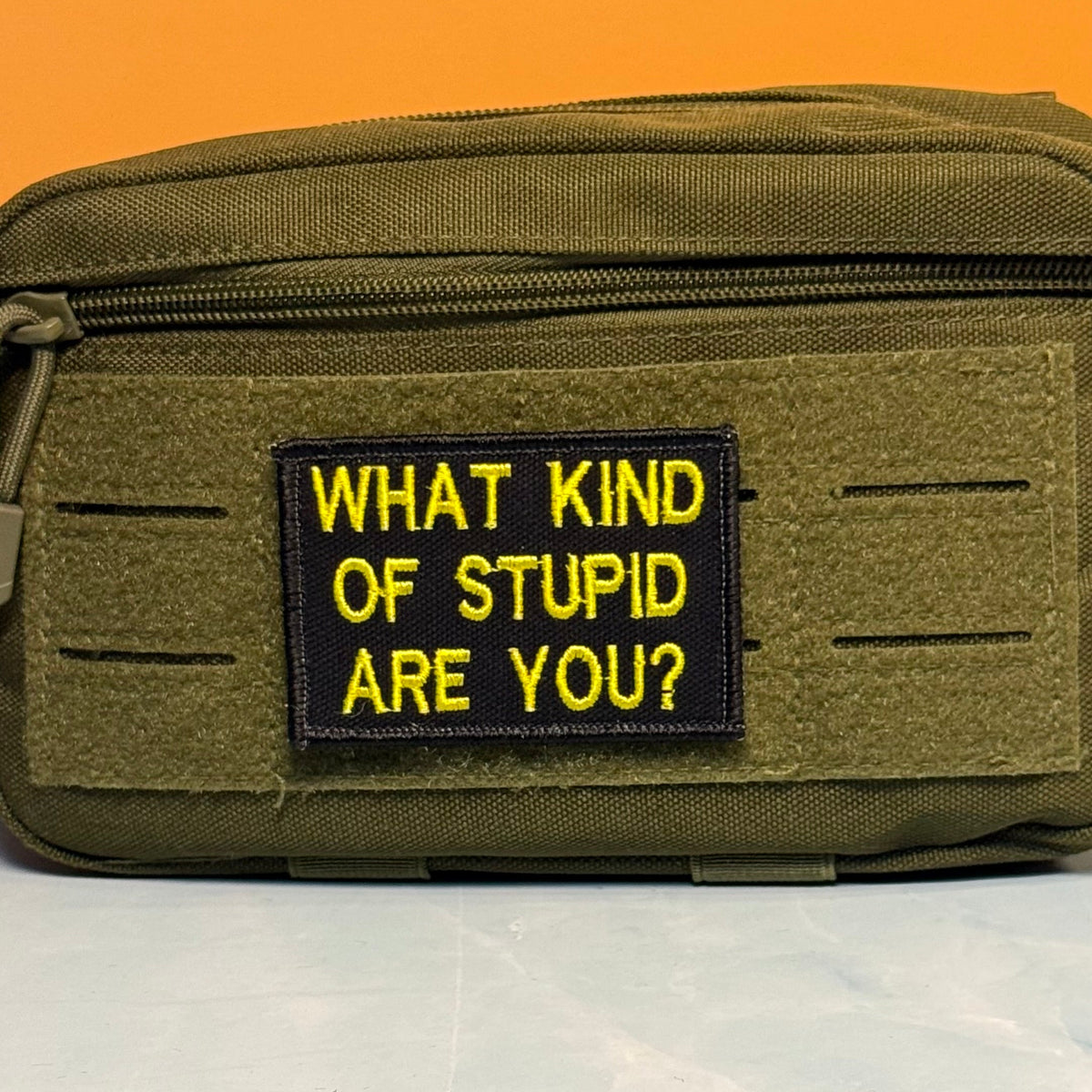 What Kind of Stupid Are You Funny Embroidered Morale Patch, 2x3" | VELCRO® Brand Hook Backing