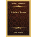 A Study Of Spinoza - Paperback