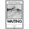 Waiting: Stories: Stories - Paperback