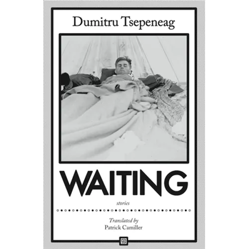 Waiting: Stories: Stories - Paperback