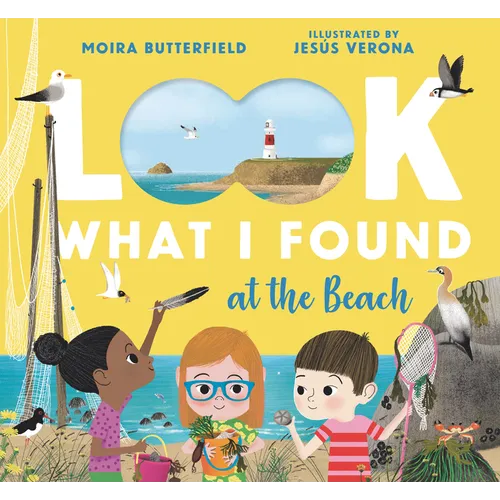 Look What I Found at the Beach - Hardcover