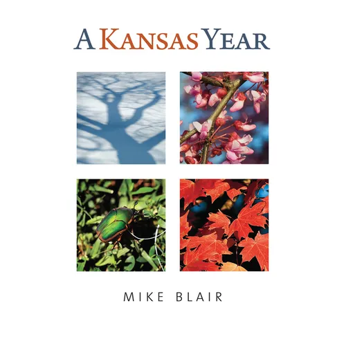 A Kansas Year