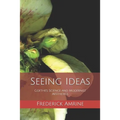 Seeing Ideas: Goethe's Science and Modernist Aesthetics - Paperback