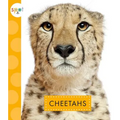 Cheetahs - Paperback