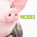 Noses - Paperback