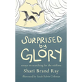 Surprised by Glory: Essays on Searching for the Sublime - Hardcover