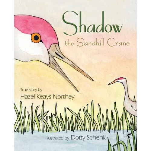 Shadow the Sandhill Crane - Paperback