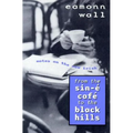 From the Sin-E Cafe to the Black Hills: Notes on the New Irish - Paperback