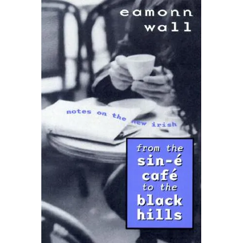 From the Sin-E Cafe to the Black Hills: Notes on the New Irish - Paperback