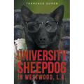 University Sheepdog in Westwood, L.A.