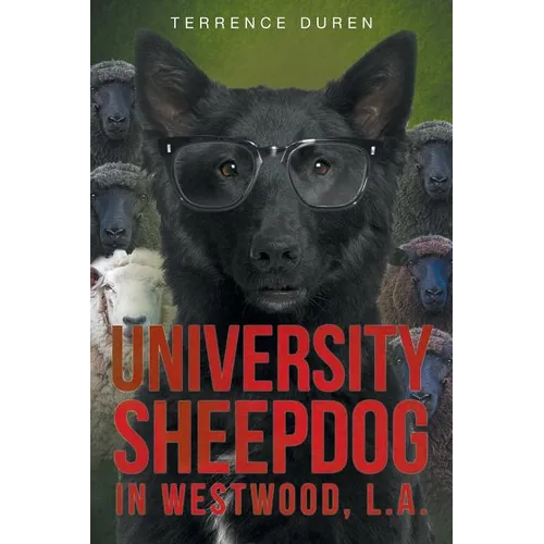 University Sheepdog in Westwood, L.A.