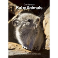 Our Nevada: Baby Animals - Board Book