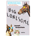 Big Lonesome - Paperback