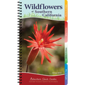 Wildflowers of Southern California: Your Way to Easily Identify Wildflowers