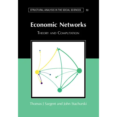 Economic Networks - Paperback