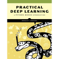 Practical Deep Learning: A Python-Based Introduction - Paperback