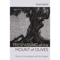 Trespassing on the Mount of Olives - Paperback
