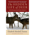 The Hidden Life of Deer - Paperback