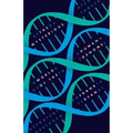 Mysterious World of the Human Genome - Hardcover