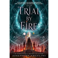 Trial by Fire - Paperback