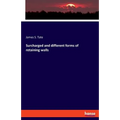 Surcharged and different forms of retaining walls - Paperback