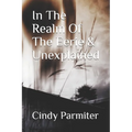 In The Realm Of The Eerie & Unexplained - Paperback