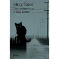Stray Tarot: How to Survive as a Tarot Reader - Paperback