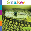 Snakes - Paperback