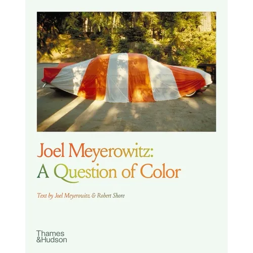 Joel Meyerowitz: A Question of Color - Paperback